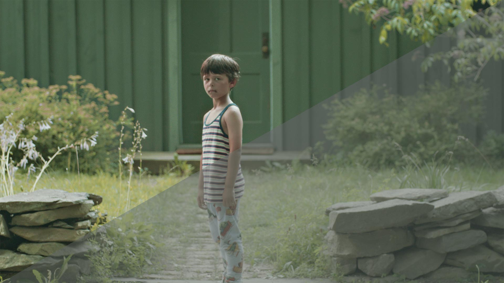 Getting Started With EditStock Color Packs