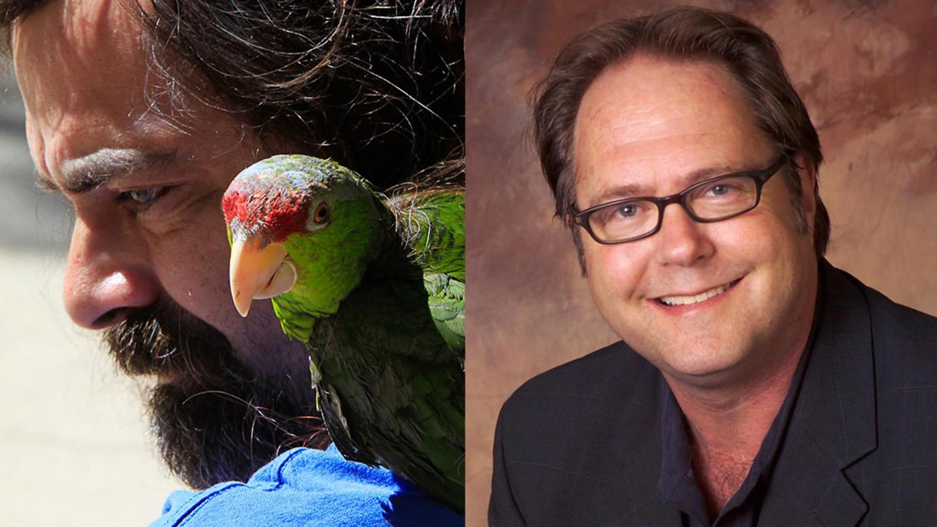 The Art of Teaching Creative Editing