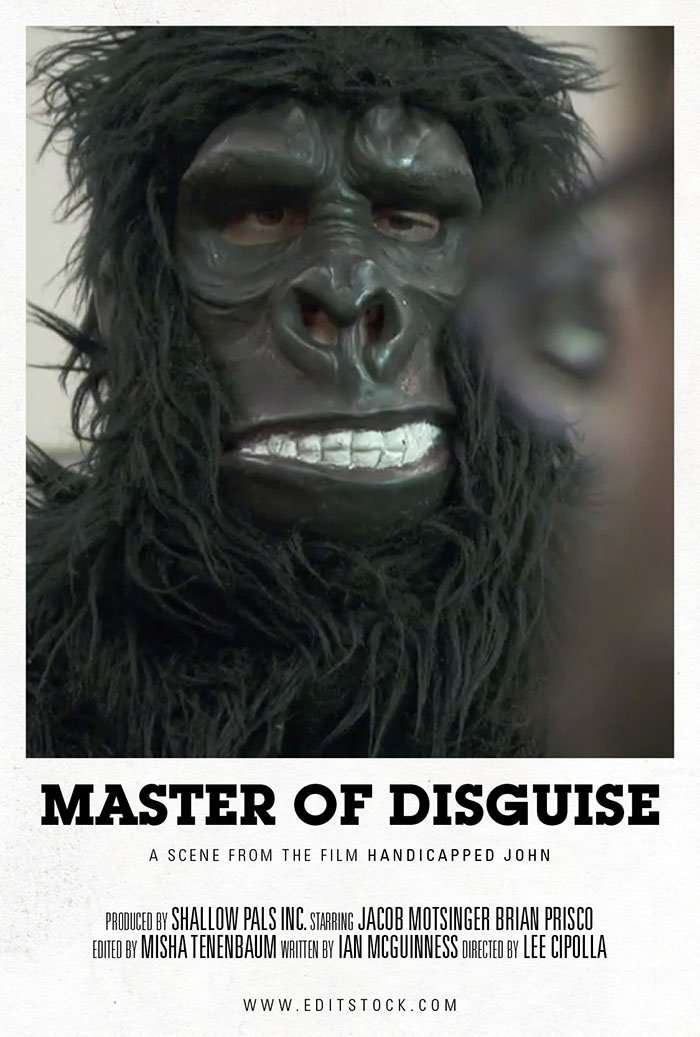 EditStock Project Master of Disguise