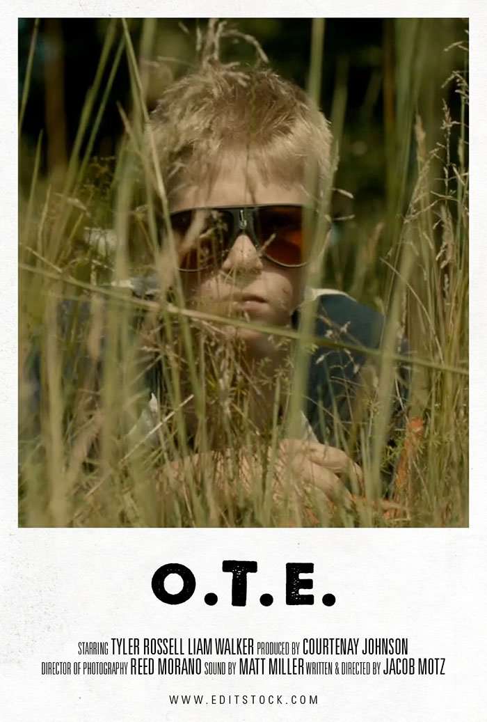 EditStock Project OTE